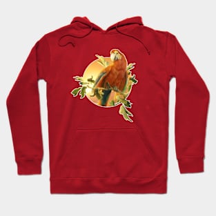 Parrot 2 Hoodie